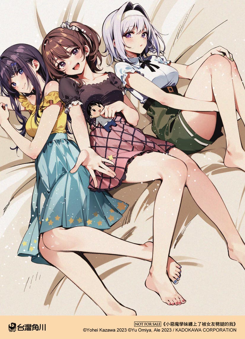 贈品說明圖