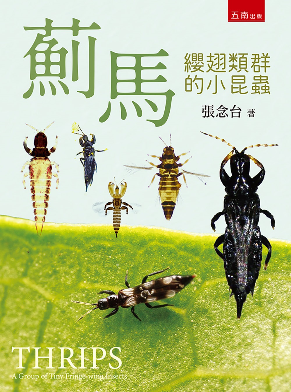 薊馬: 纓翅類群的小昆蟲