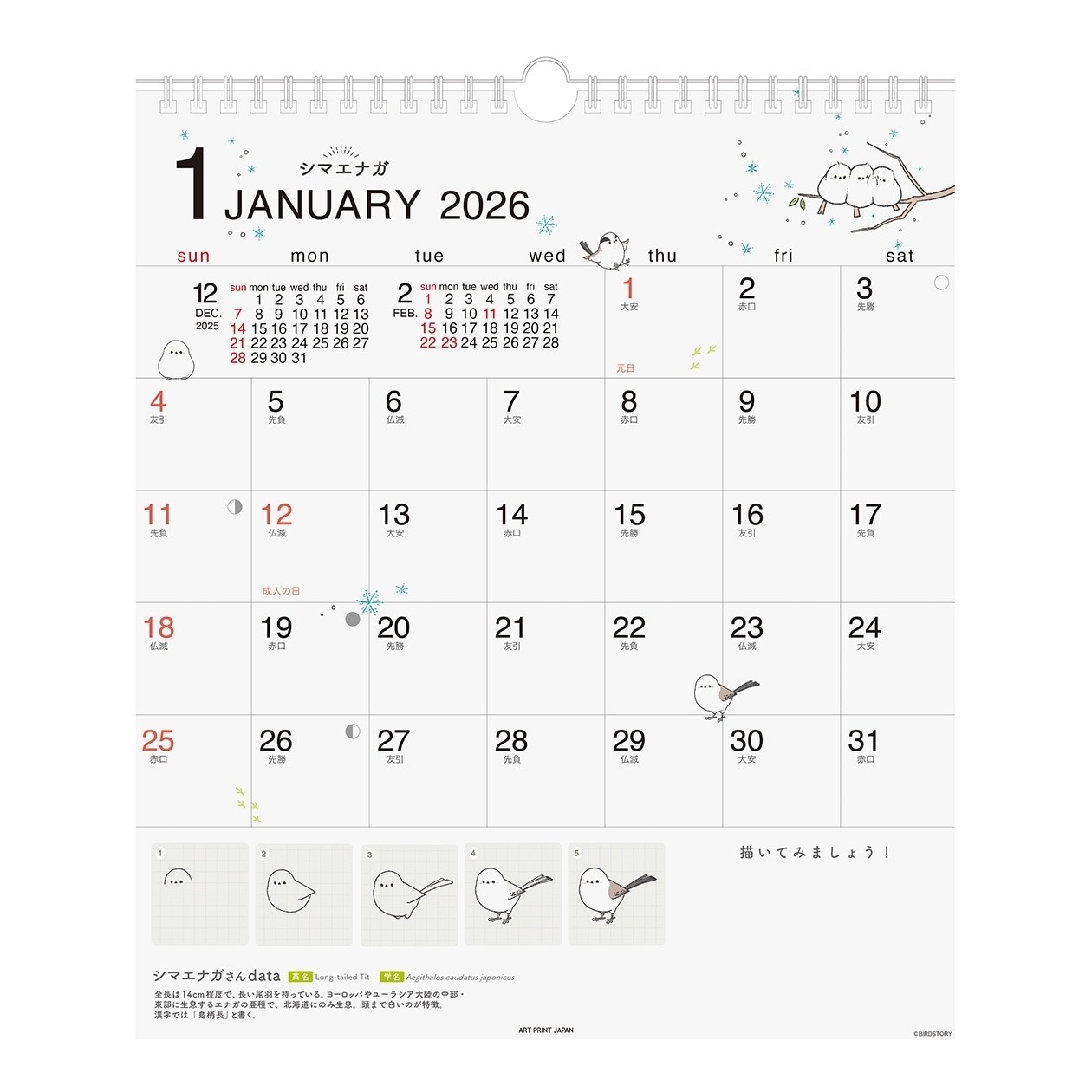 【誠品獨家】2026 日本 APJ 掛曆/ BIRDSTORY/ 如何畫一隻可愛的鳥