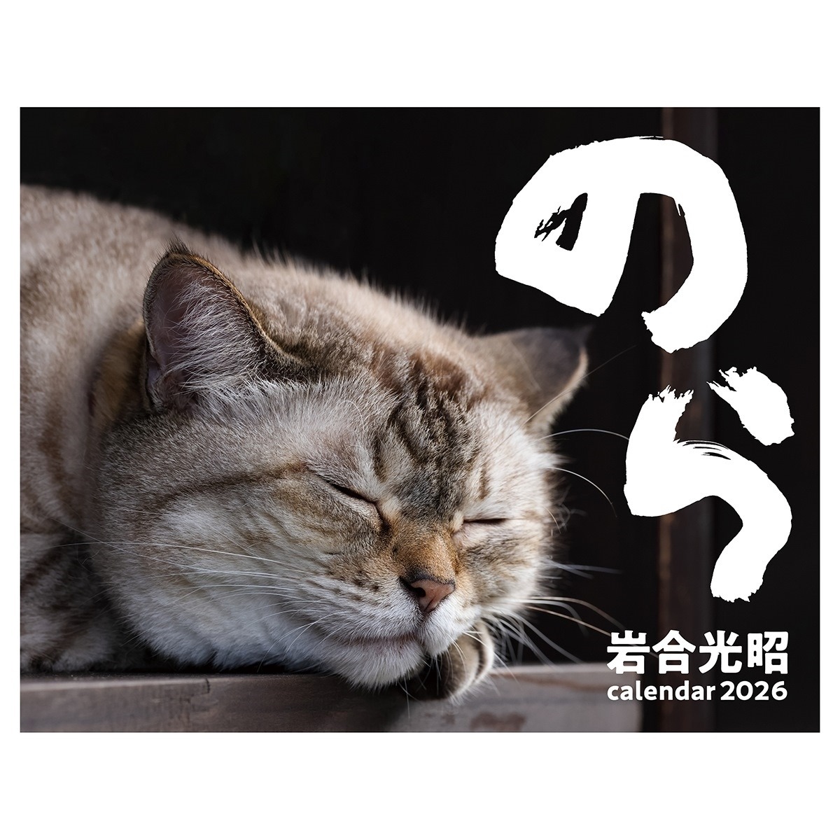 【誠品獨家】2026 日本 APJ 掛曆/ 岩合光昭/ 野貓