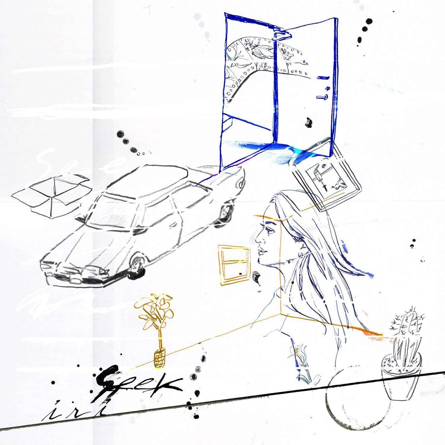 Seek (LP/完全生産限定盤)