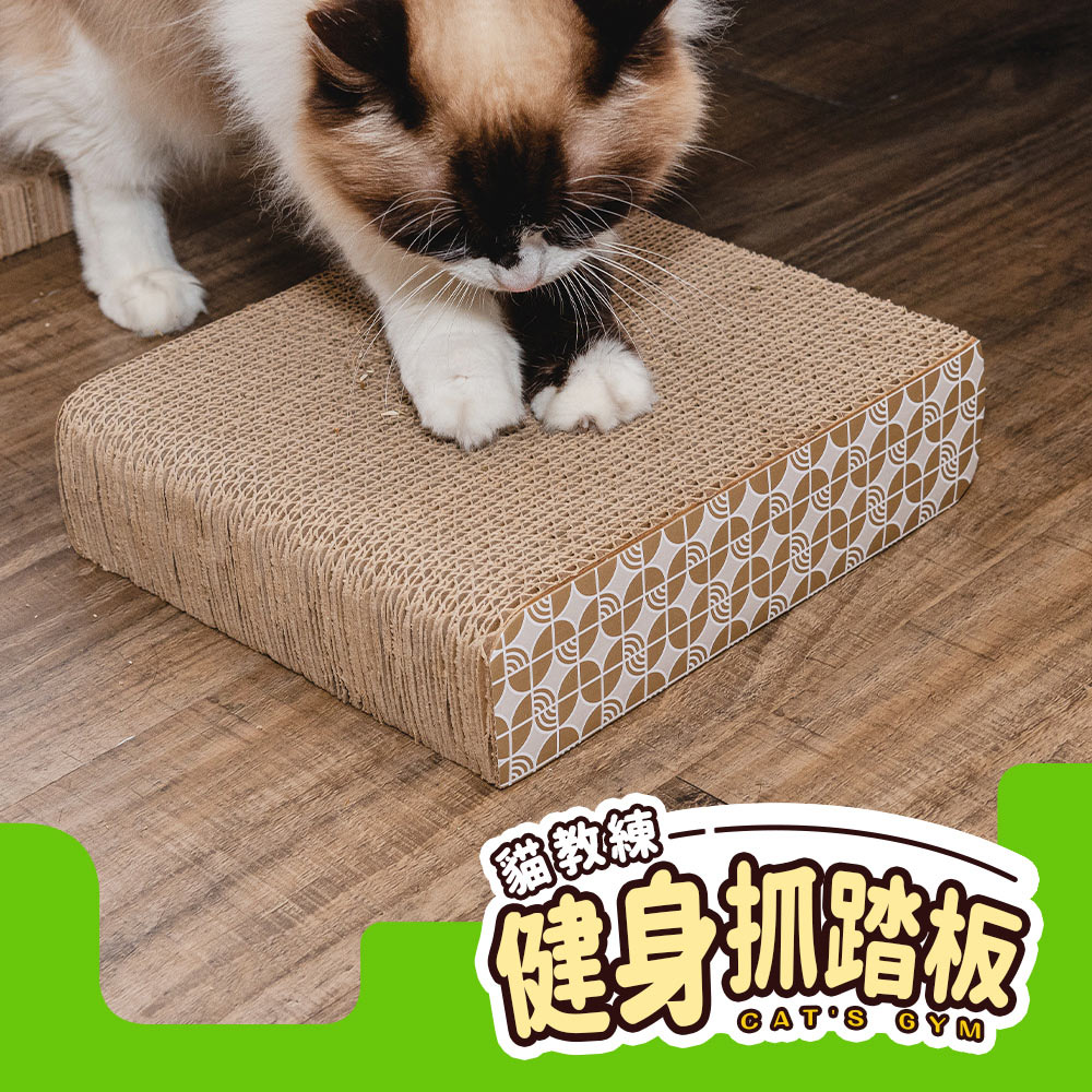 【dayneeds】毛孩的秘密生活 貓教練-健身抓踏板 / 貓抓板