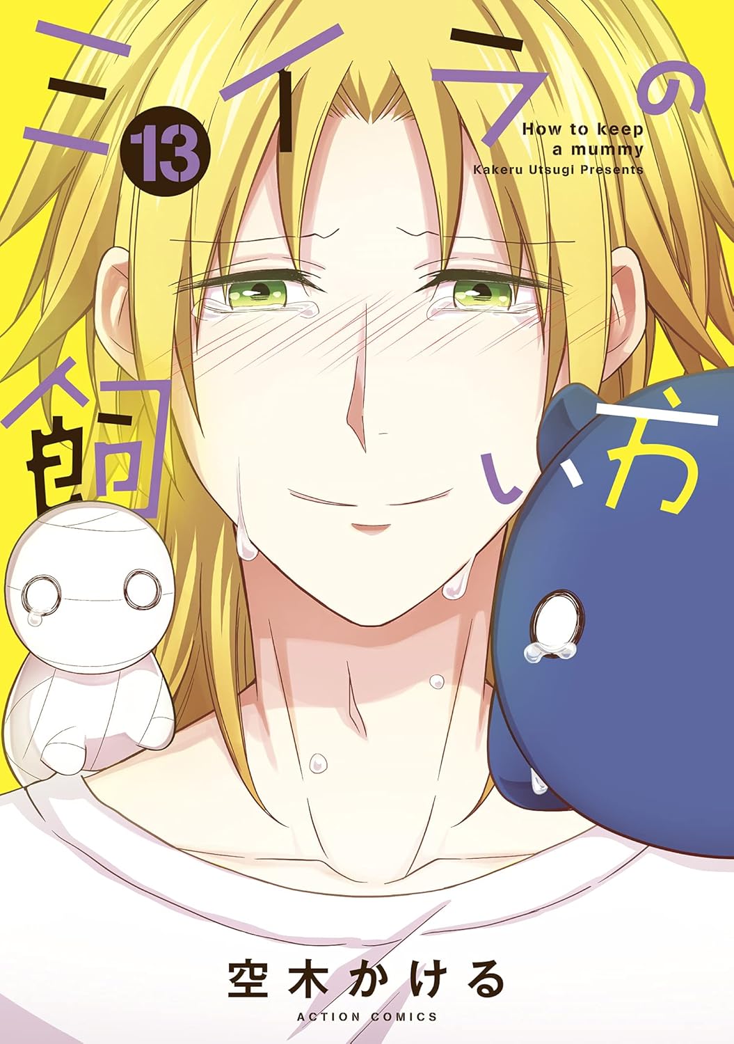 ミイラの飼い方 13 COMiCO BOOKS