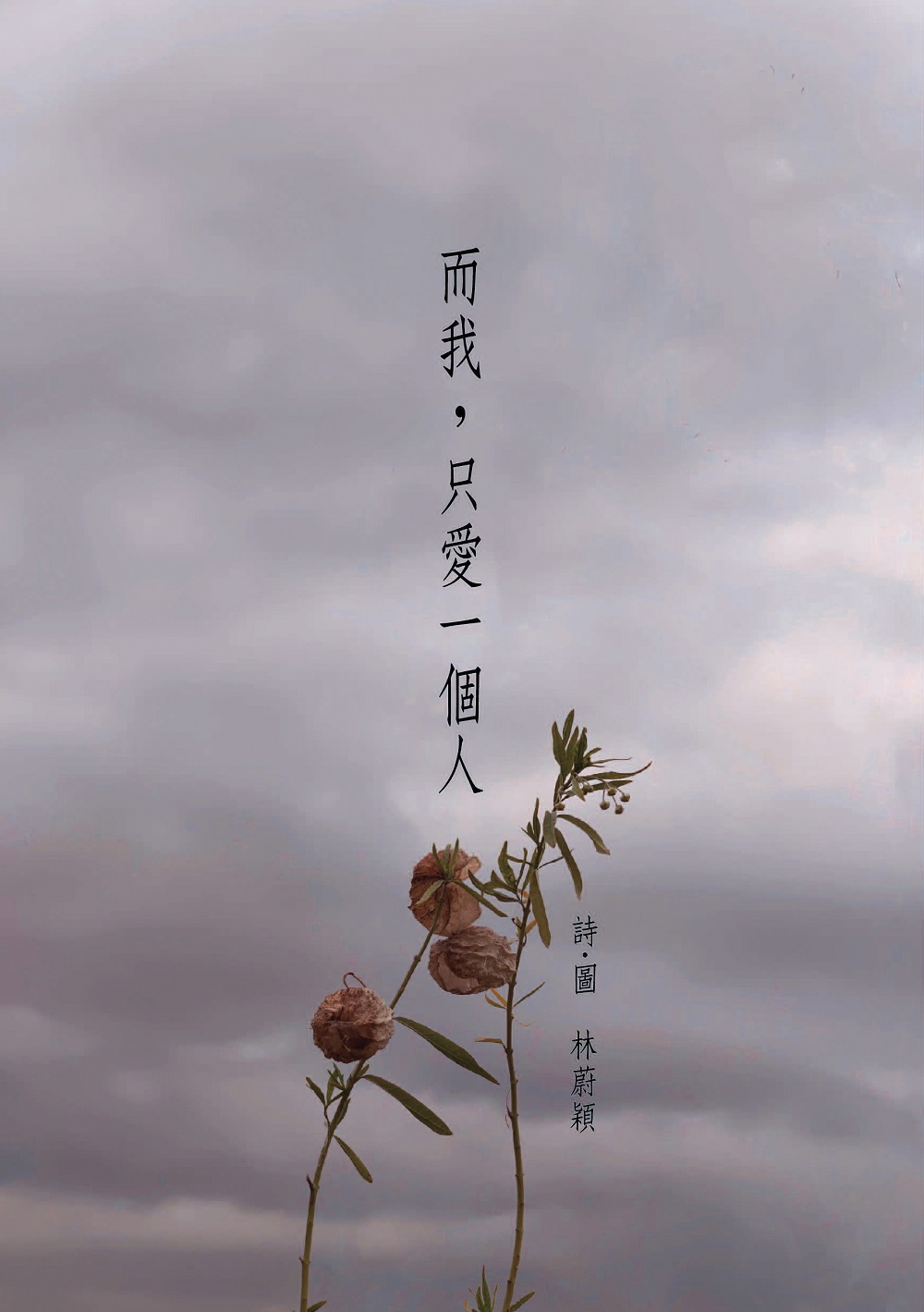 而我, 只愛一個人