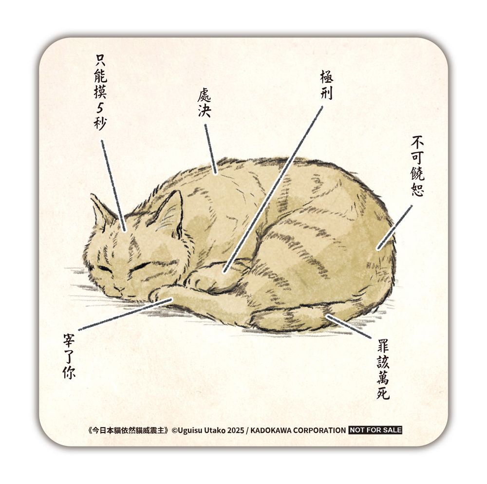 贈品說明圖