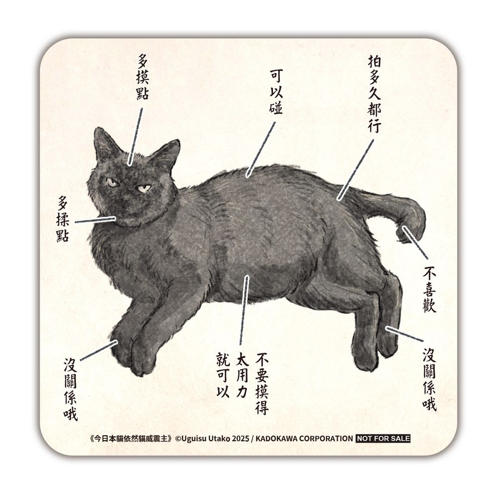 贈品說明圖