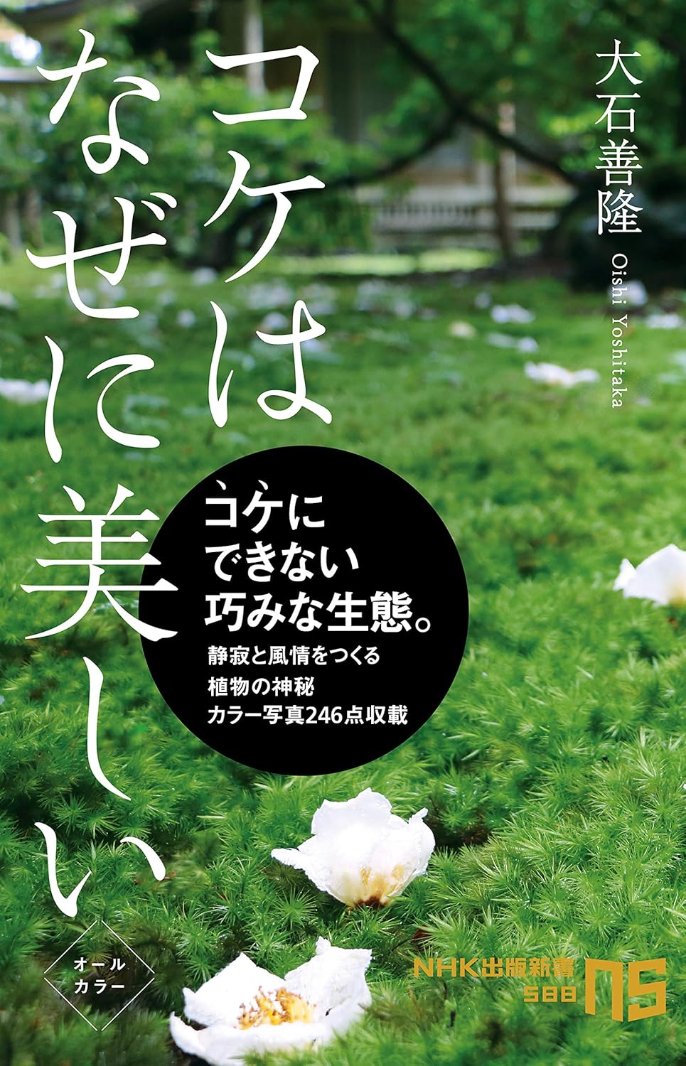 コケはなぜに美しい NHK出版新書 588