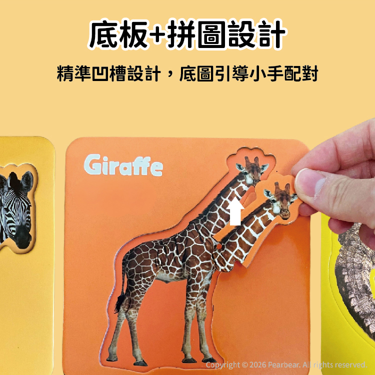 Curios CU-637 商品介紹