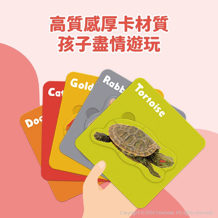 Curios CU-674 商品介紹