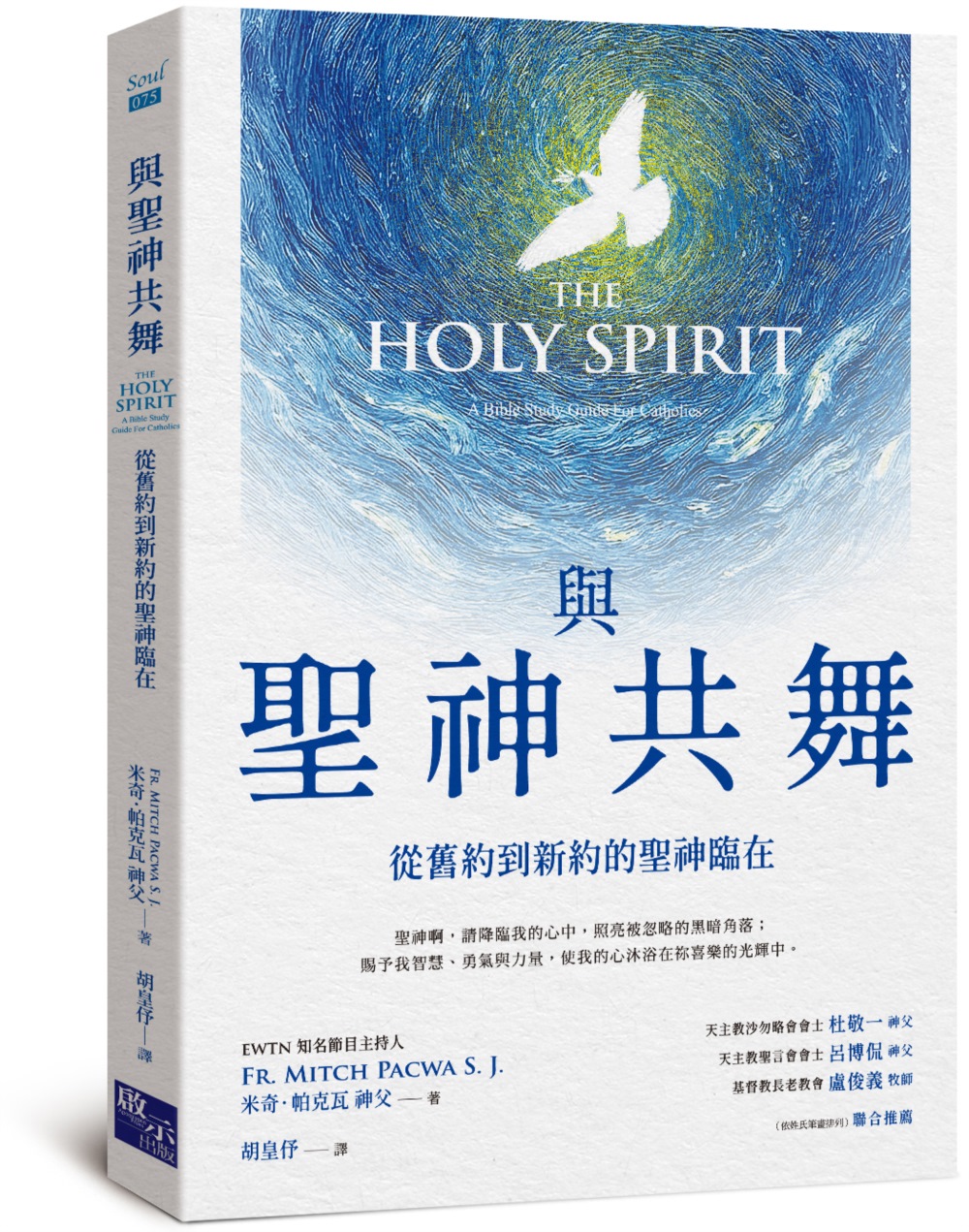 與聖神共舞: 從舊約到新約的聖神臨在