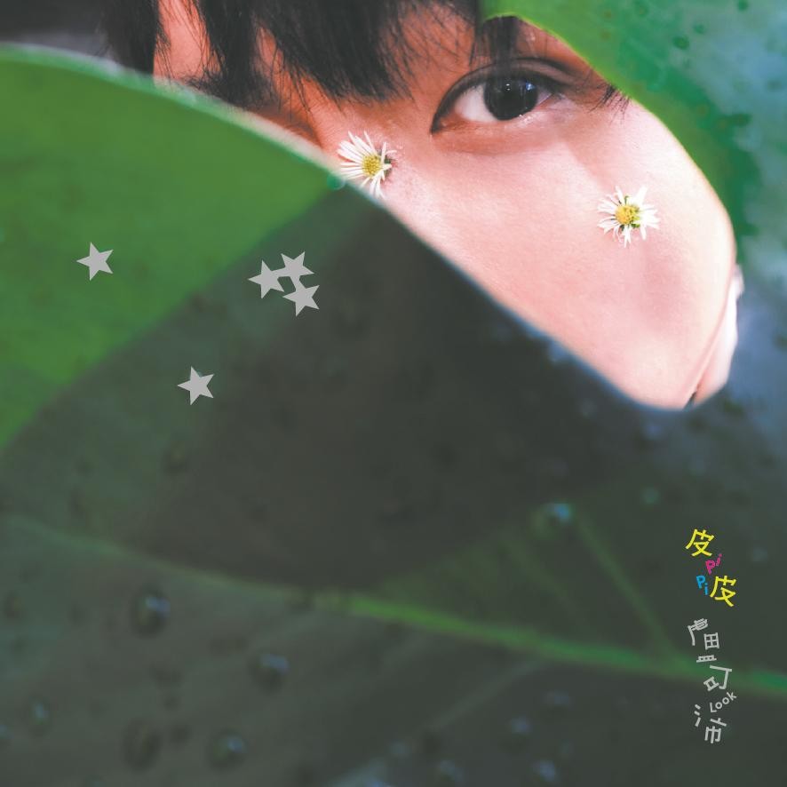 皮皮 PiPi (CD) 皮皮 PiPi (CD)