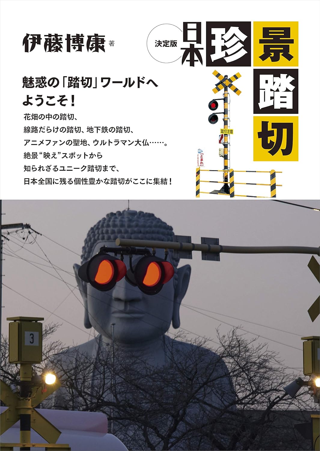 決定版日本珍景踏切