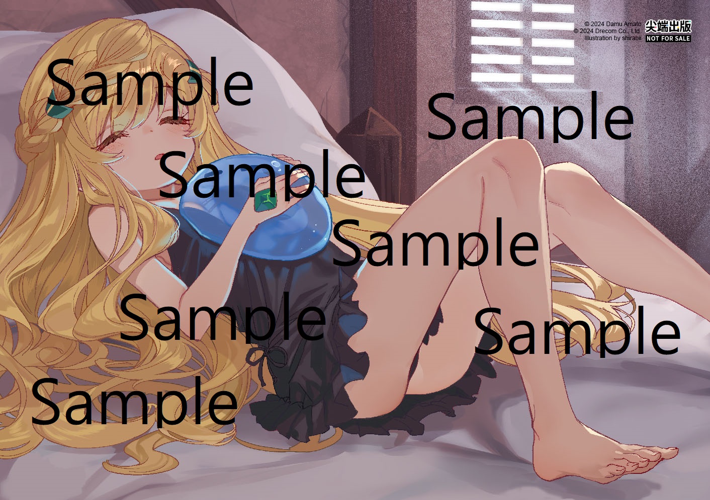 贈品說明圖