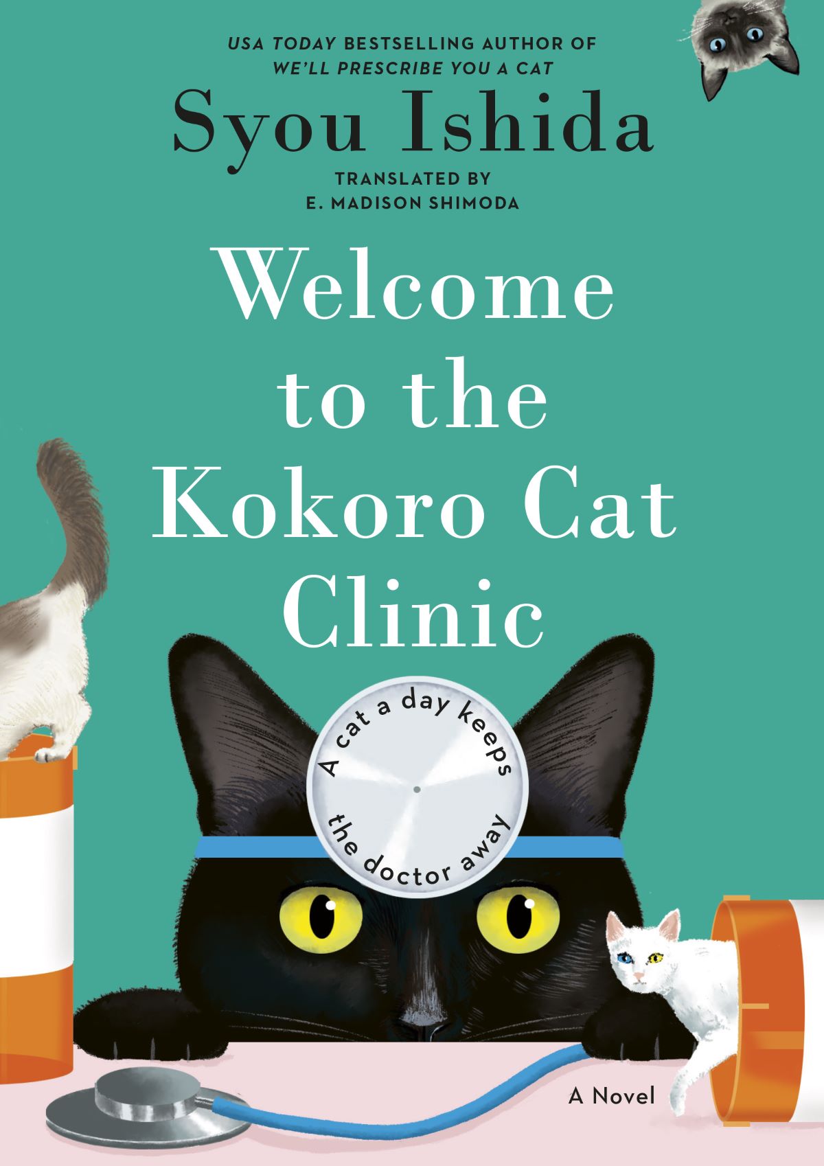 Welcome to the Kokoro Cat Clinic