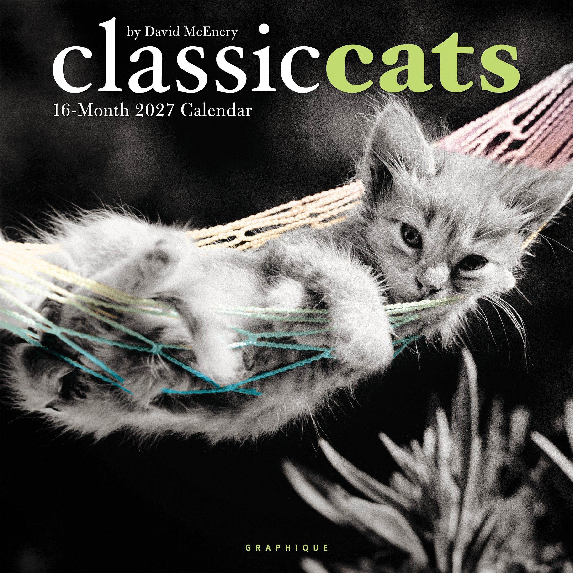 2027美國 GRAPHIQUE 掛曆/ 16月/ We Love Animals/ Classic Cats