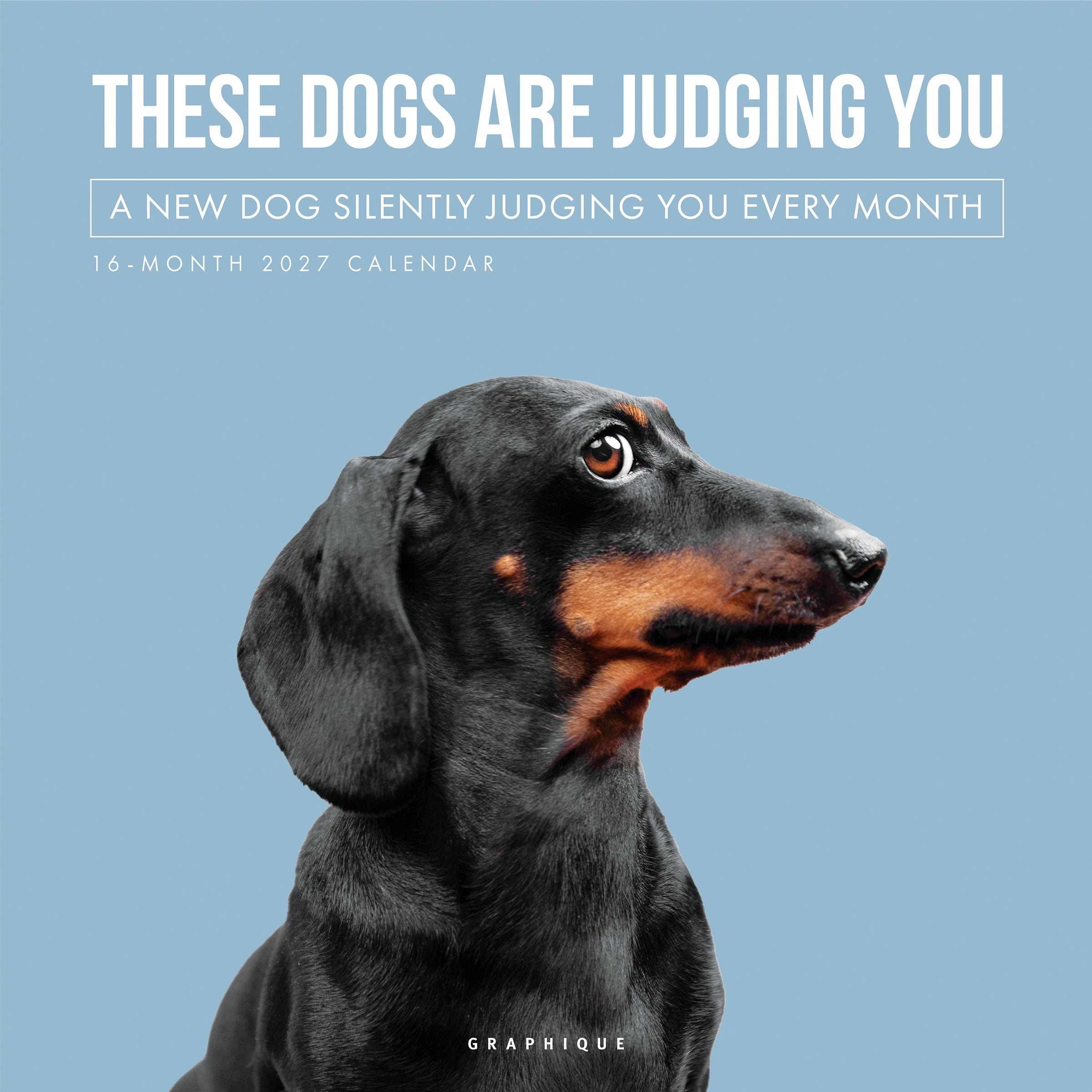2027美國 GRAPHIQUE 掛曆/ 16月/ We Love Animals/ Judgmental Dogs