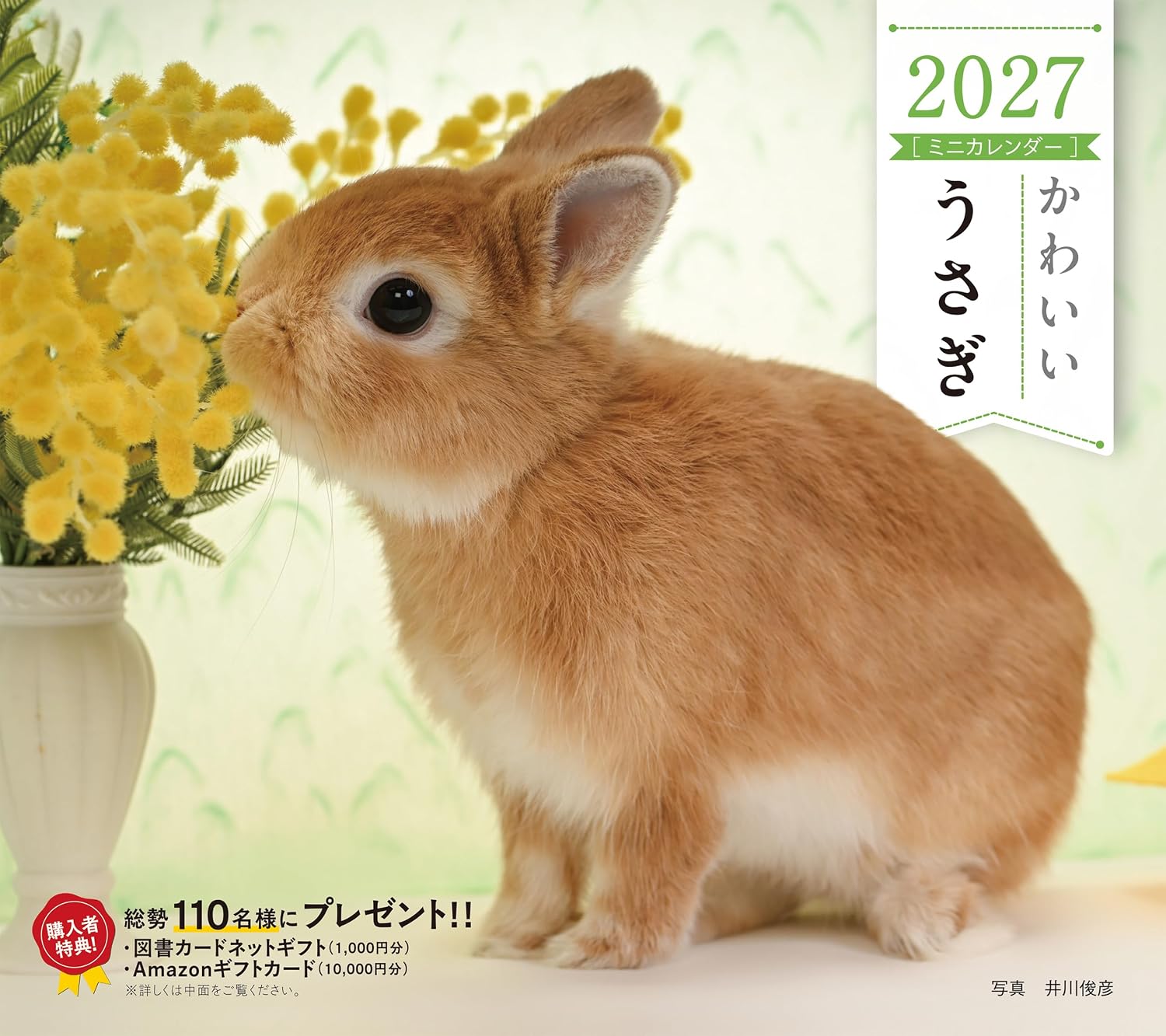 かわいいうさぎカレンダー 2027 [カレンダー]