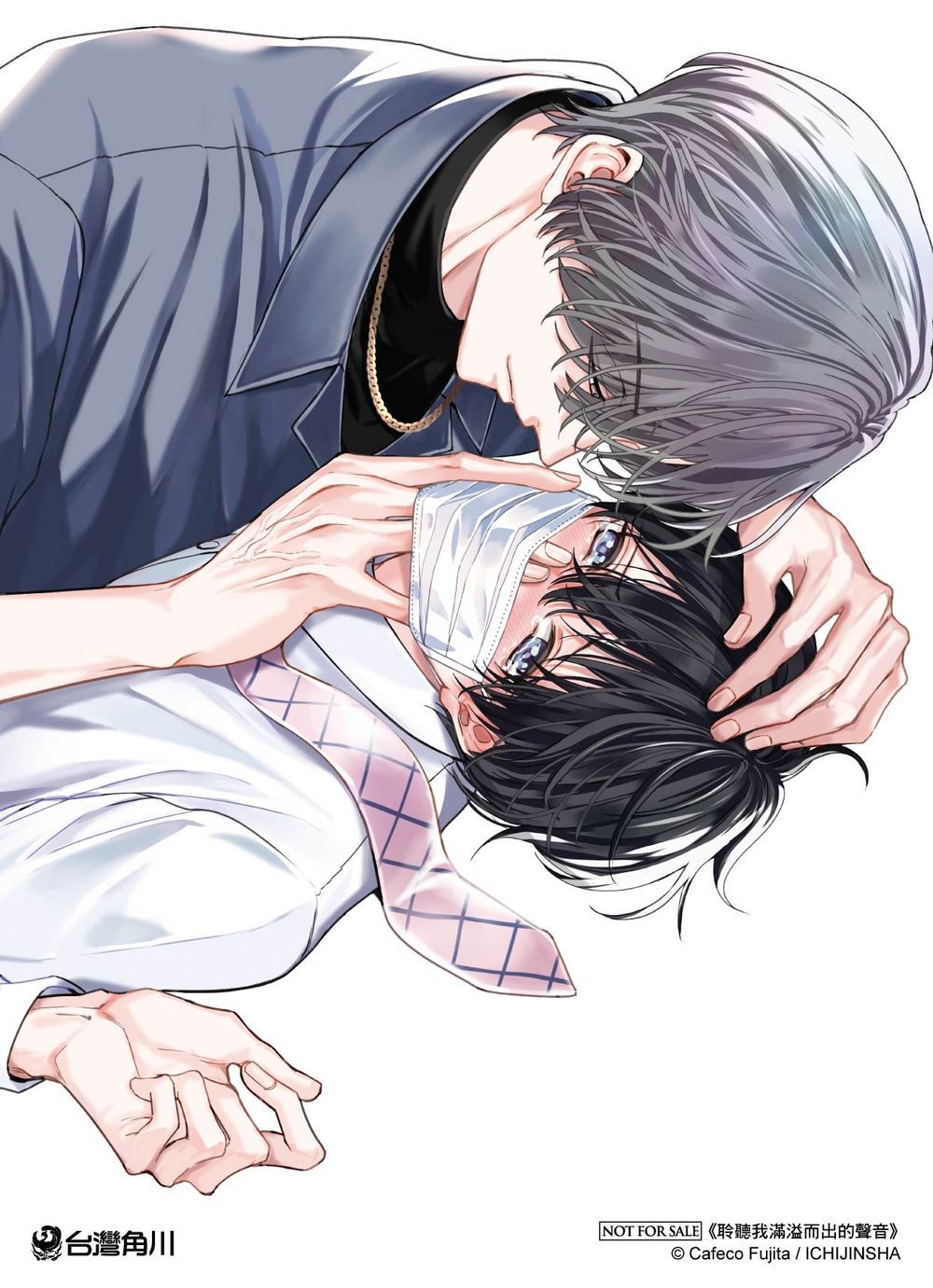 贈品說明圖
