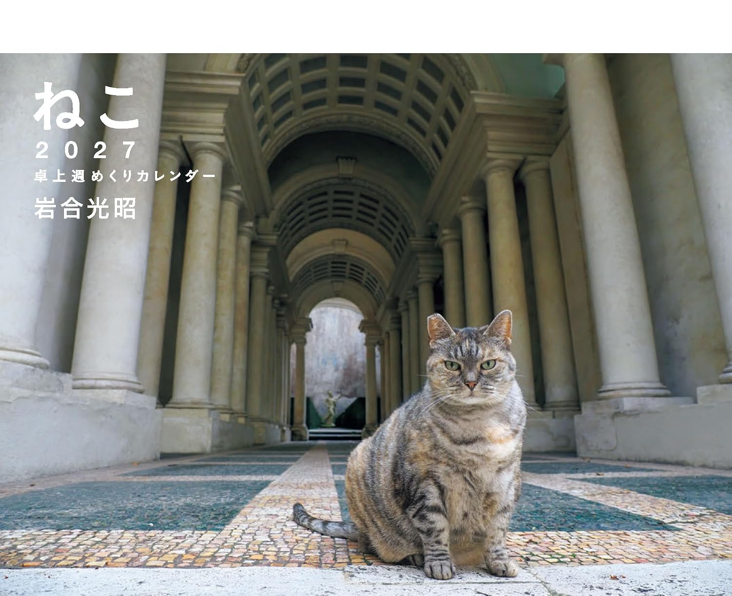 岩合光昭 ねこ 卓上週めくりカレンダー 2027 [カレンダー]