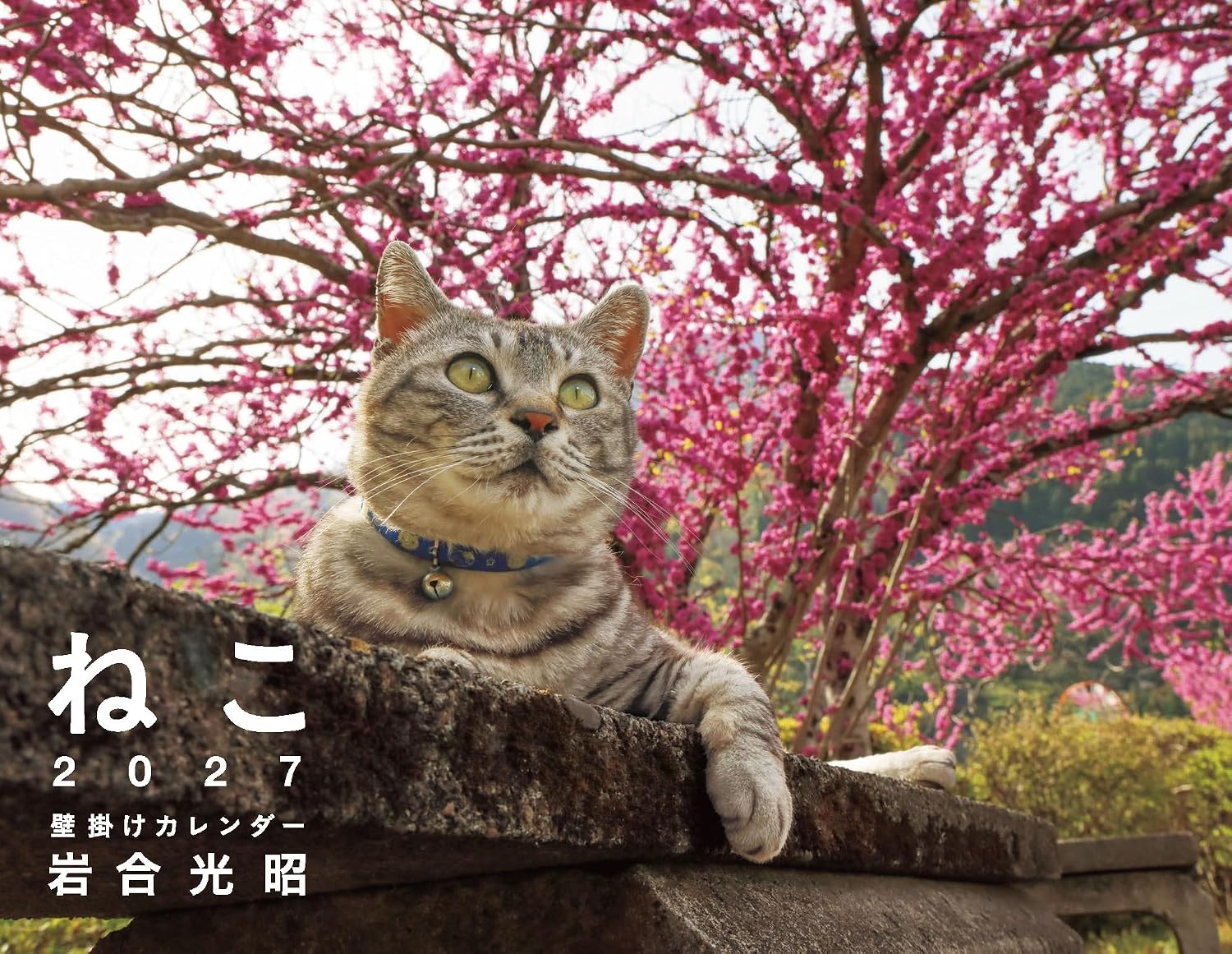 岩合光昭 ねこ壁掛けカレンダー 2027 [カレンダー]