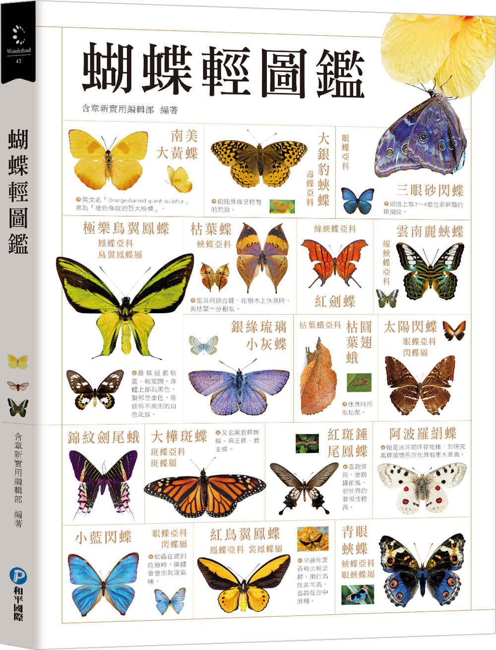 蝴蝶輕圖鑑