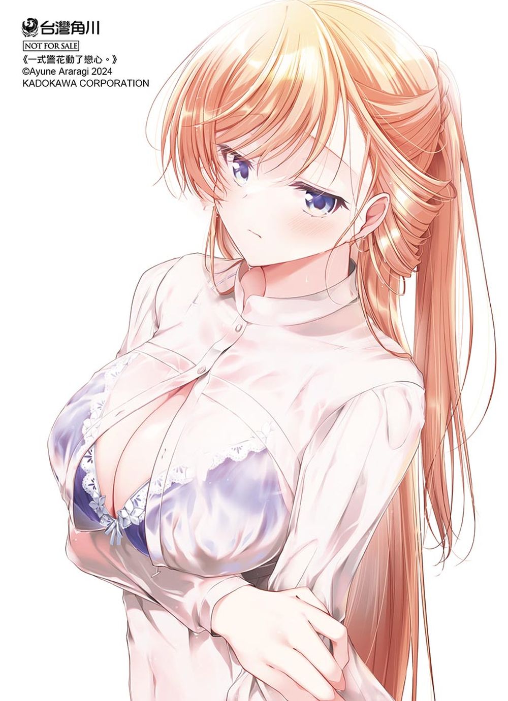 贈品說明圖