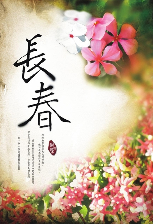長春 (電子書)