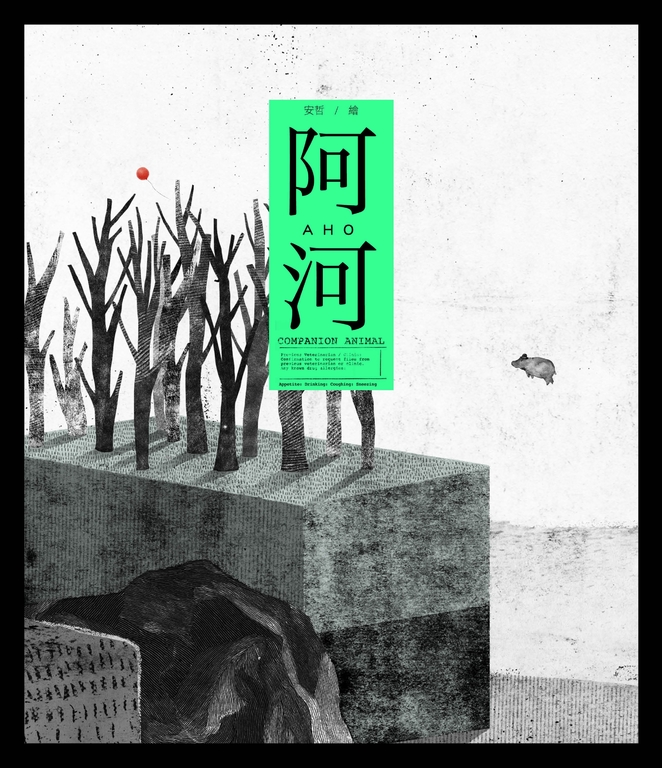 阿河 (電子書)