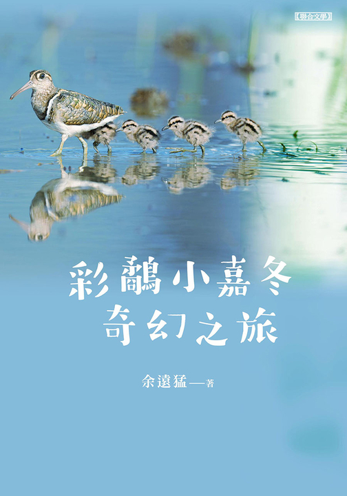 彩鷸小嘉冬奇幻之旅 (電子書)