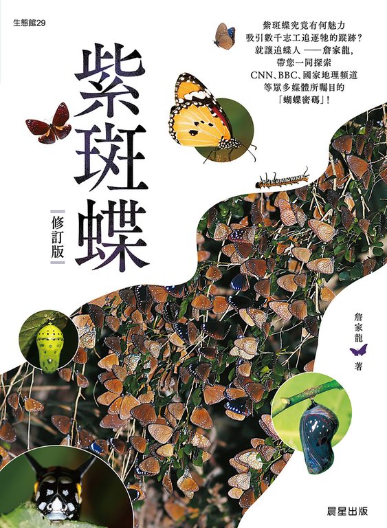 紫斑蝶-修訂版 (電子書)