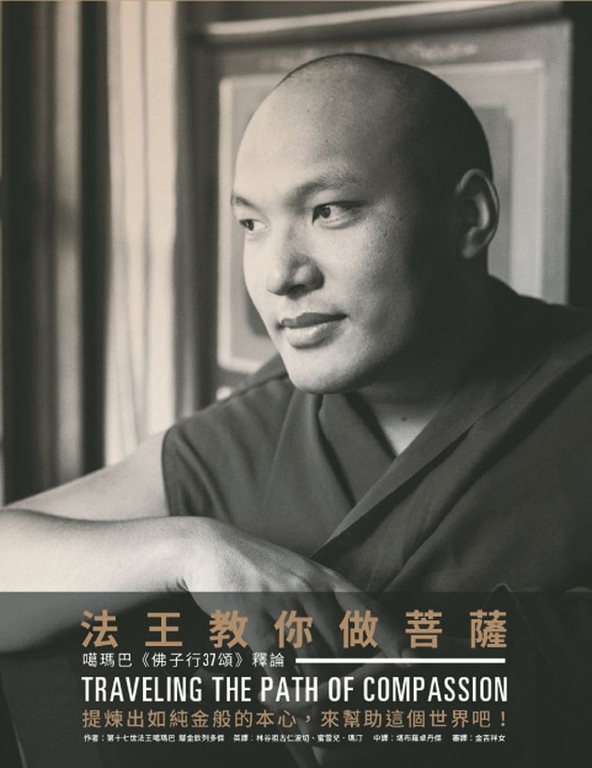 法王教你做菩薩：噶瑪巴《佛子行37頌》釋論 (電子書)