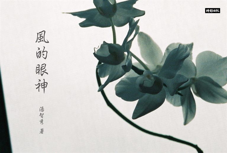 風的眼神 (電子書)