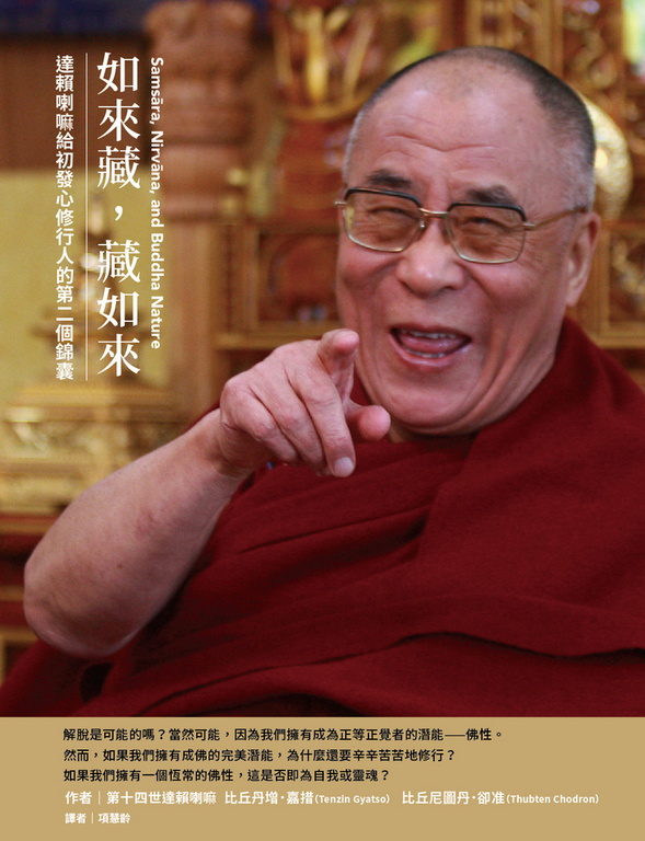 如來藏，藏如來：達賴喇嘛給初發心修行人的第二個錦囊 (電子書)
