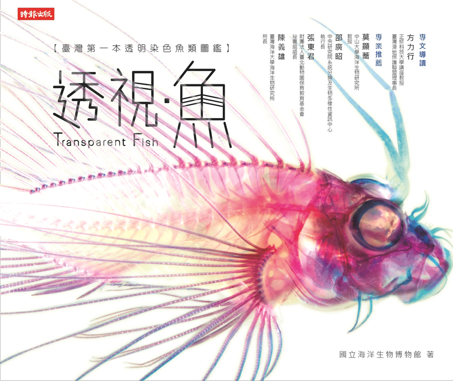 透視．魚 (電子書)