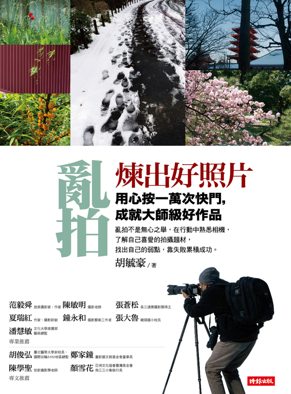 亂拍煉出好照片：用心按一萬次快門，成就大師級好作品 (電子書)