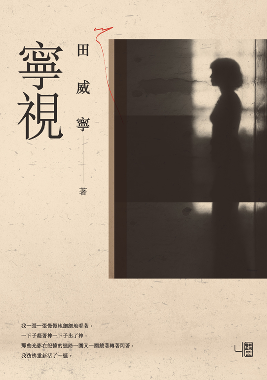 寧視 (電子書)