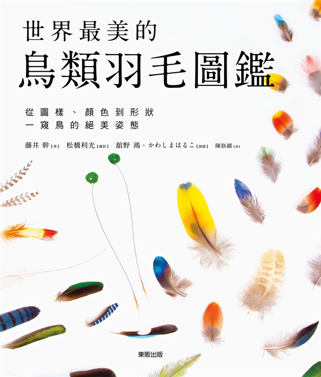 世界最美的鳥類羽毛圖鑑:從圖樣、顏色到形狀一窺鳥的絕美姿態 (電子書)