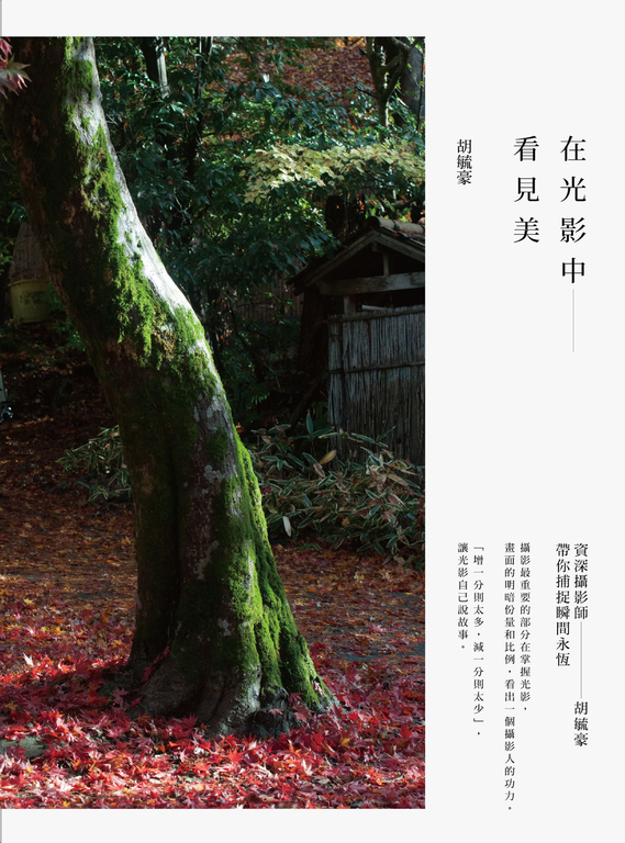 在光影中看見美：資深攝影師胡毓豪帶你捕捉瞬間永恆 (電子書)