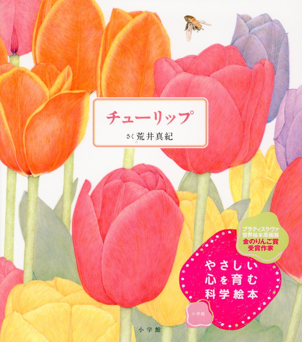 チューリップ