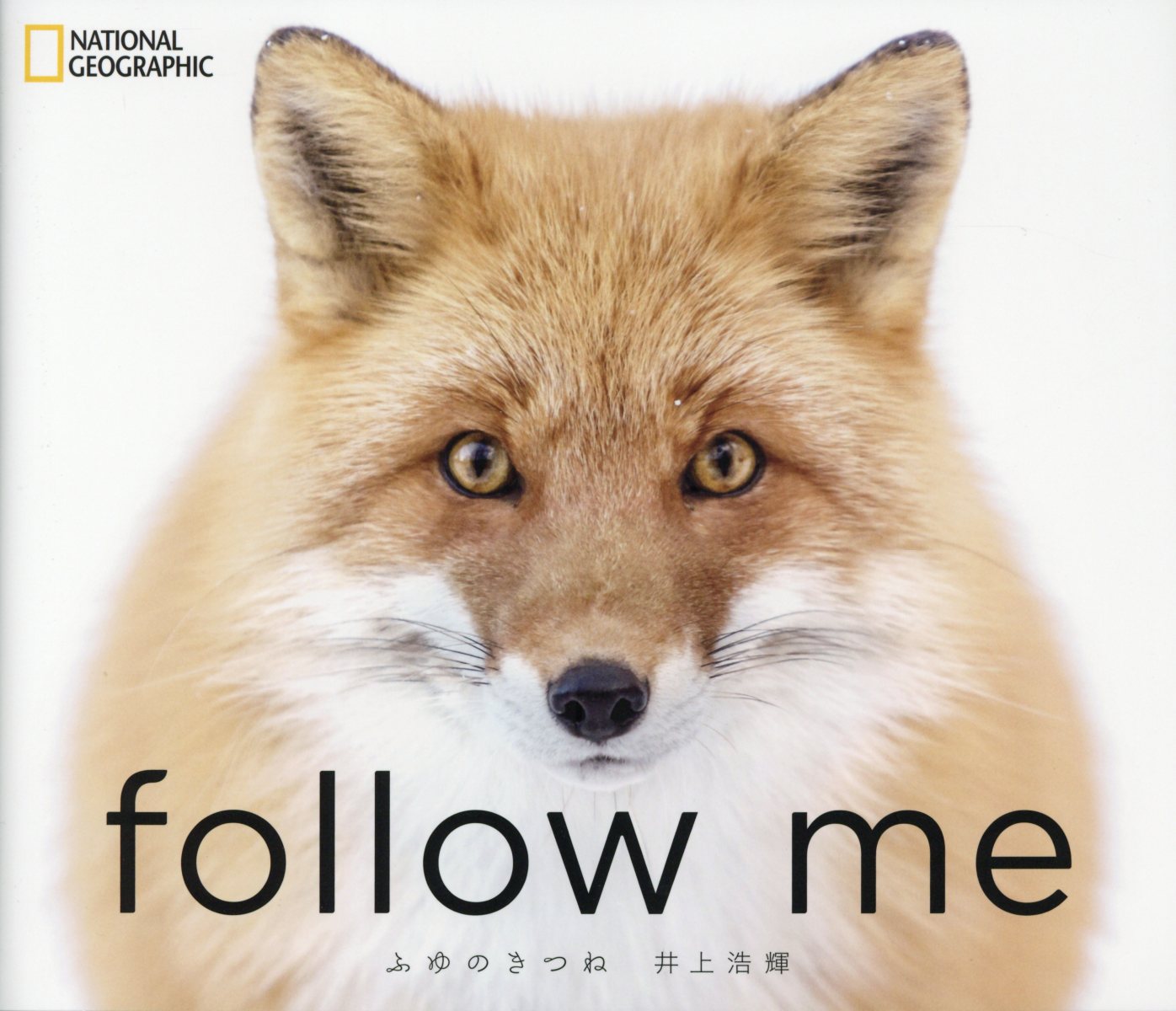 follow meふゆのきつね