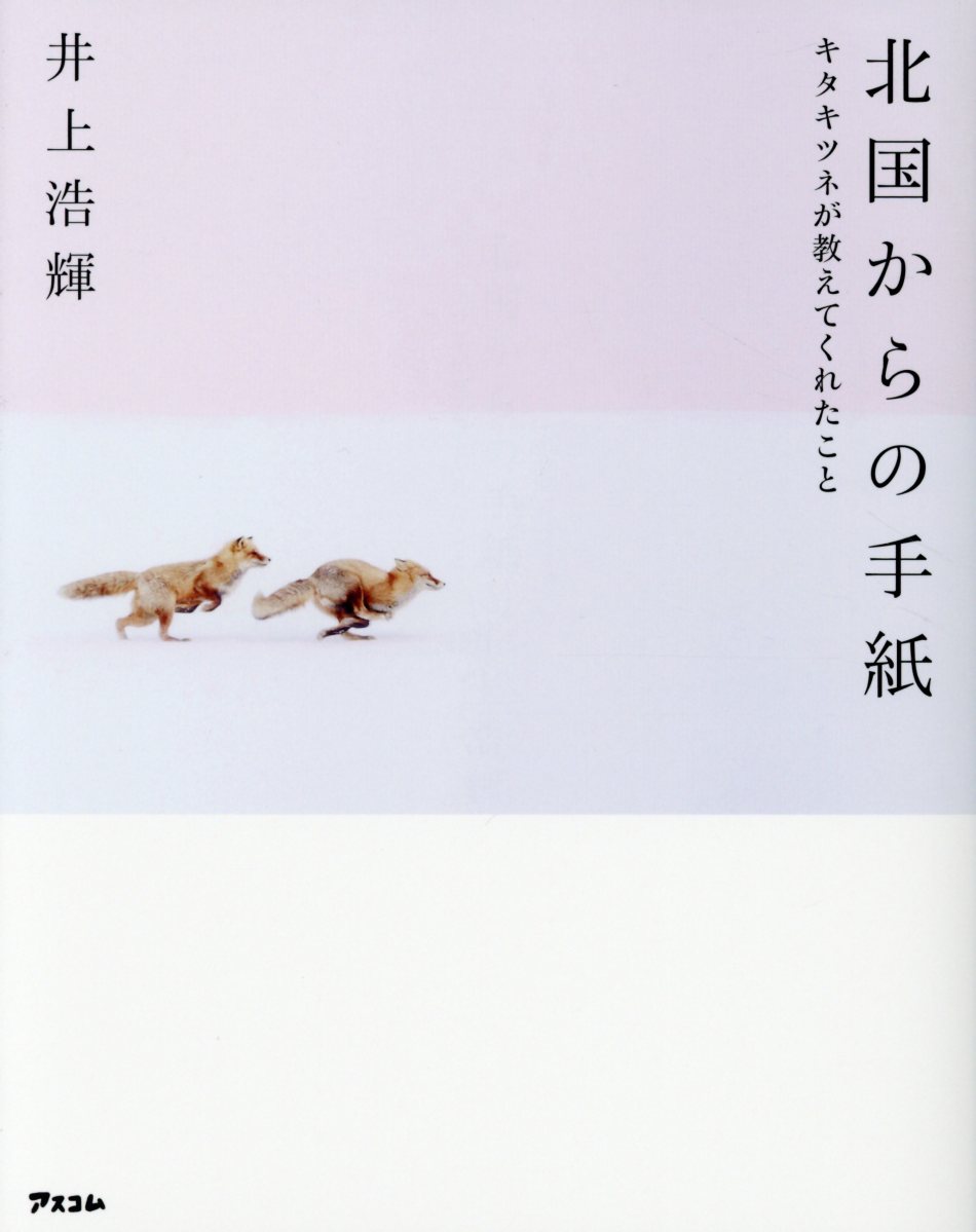 北国からの手紙: キタキツネが教えてくれたこと