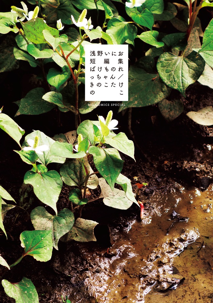 浅野いにお短編集: ばけものれっちゃん/きのこたけのこ