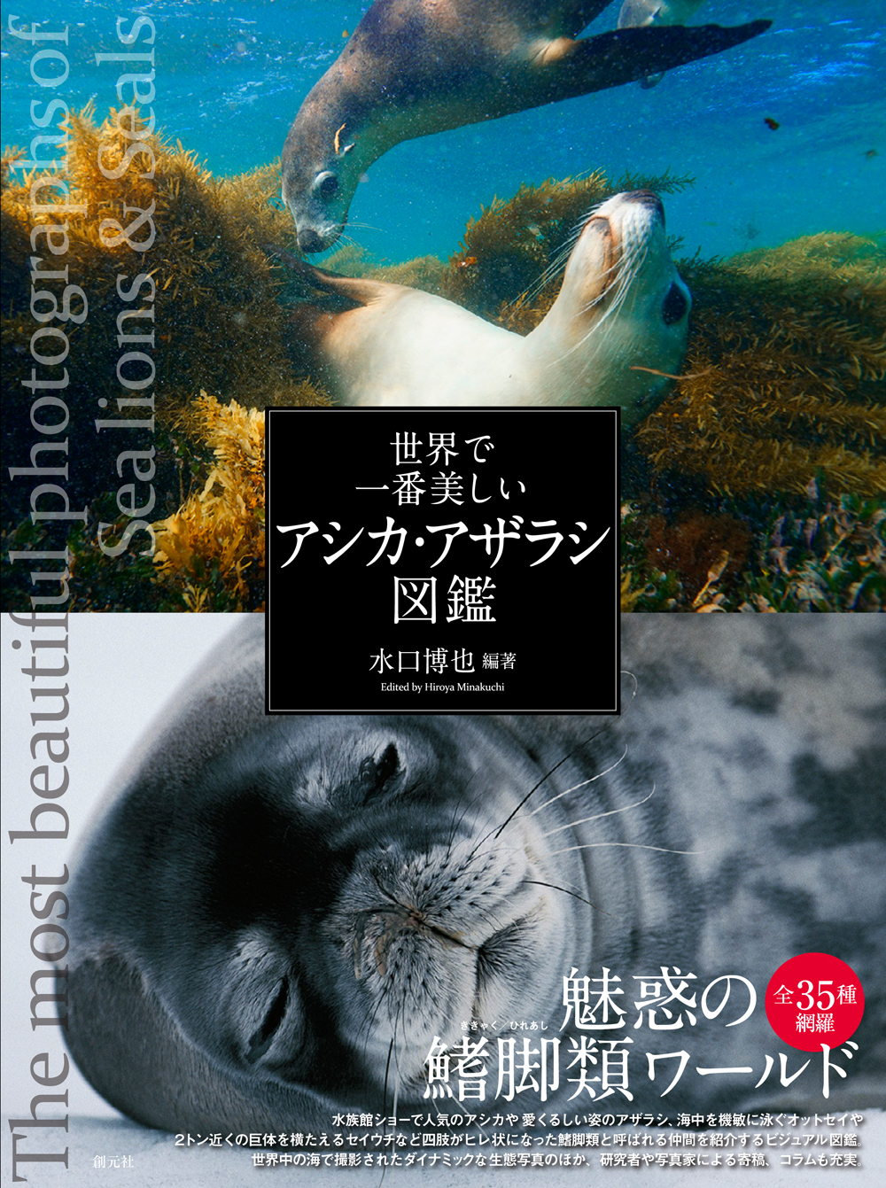 世界で一番美しいアシカ.アザラシ図鑑