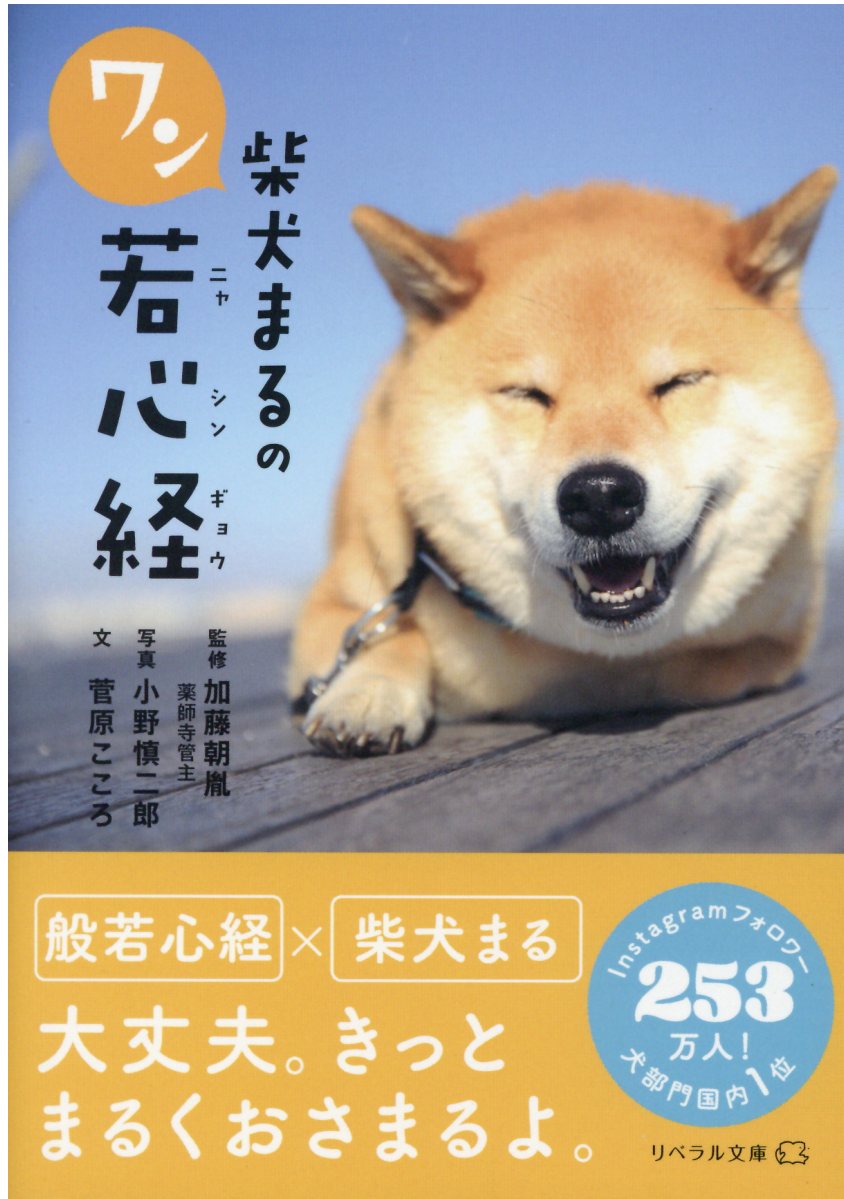 柴犬まるのワン若心経 (文庫)