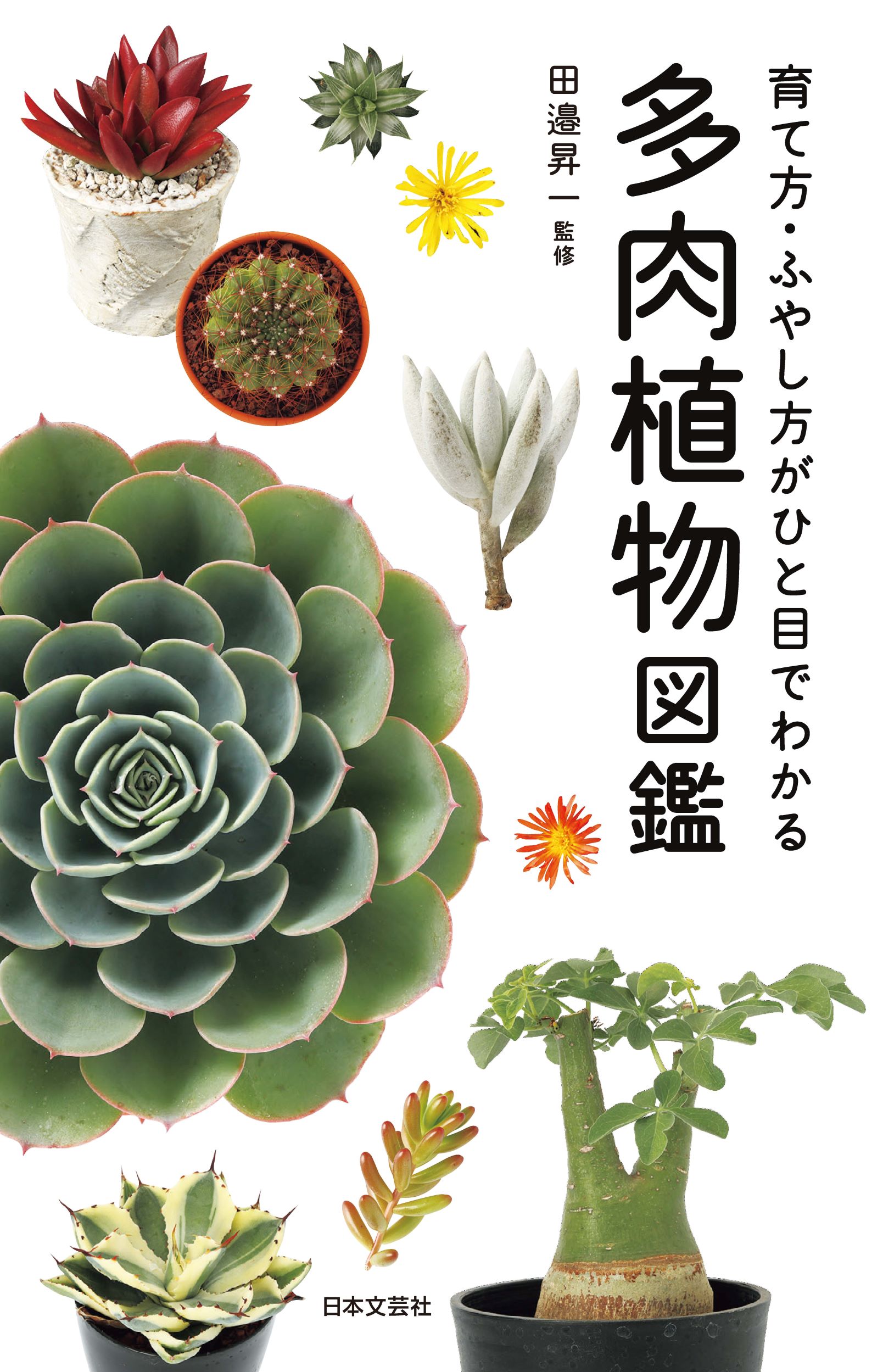 多肉植物図鑑: 育て方.ふやし方がひと目でわかる
