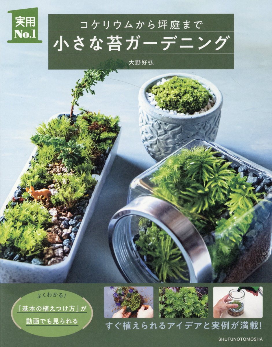 小さな苔ガーデニング