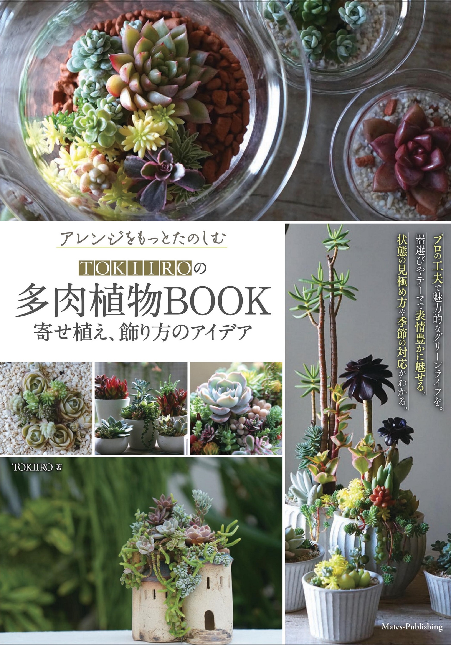 アレンジをもっとたのしむ TOKIIROの多肉植物BOOK: 寄せ植え、飾り方のアイデア
