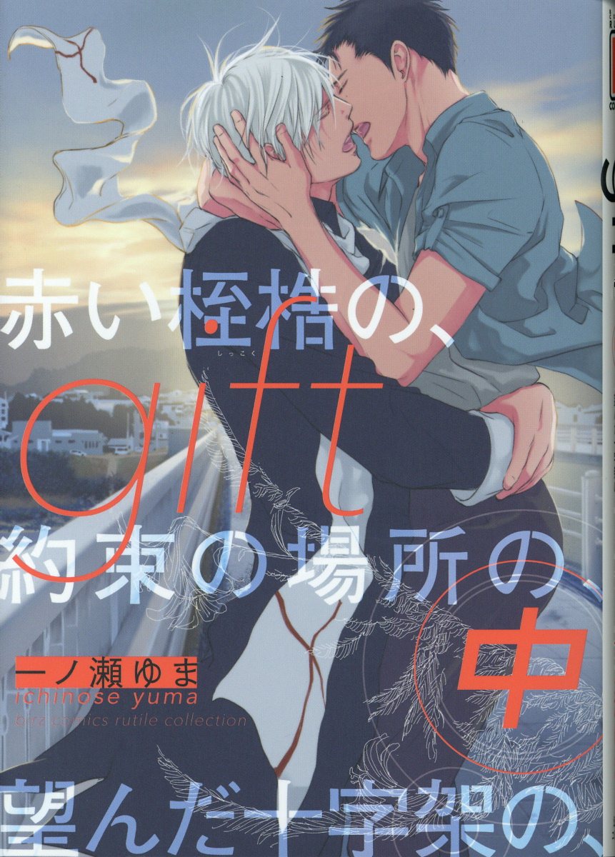 gift 中 ルチルコレクション