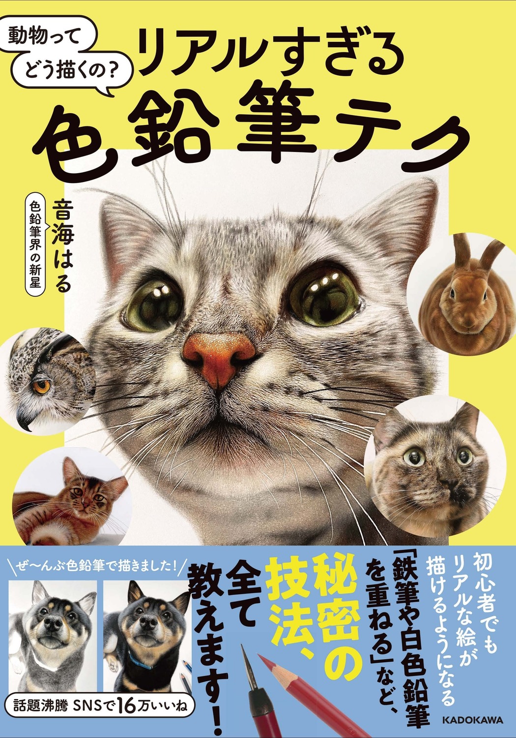 動物ってどう描くの?リアルすぎる色鉛筆テク
