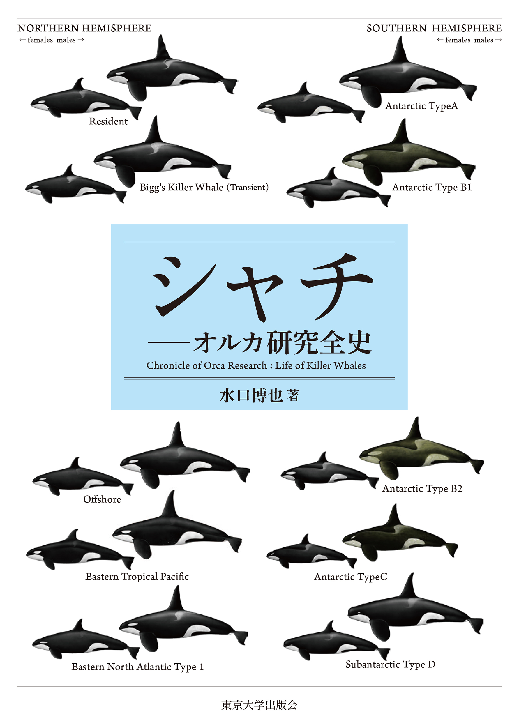シャチ